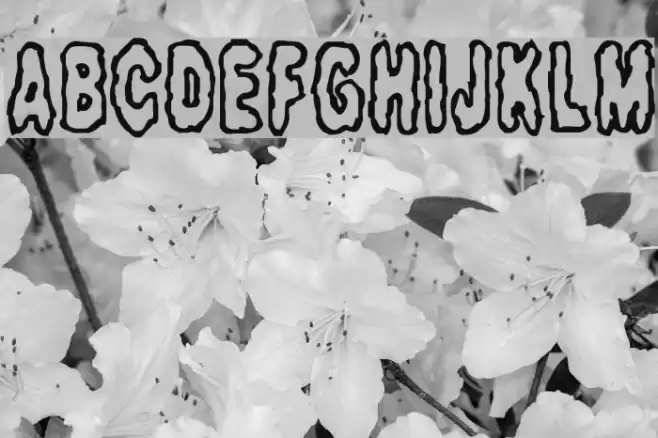 Fidgety BRK Font examples