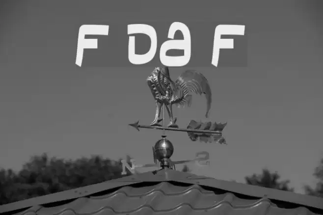 Field Day Filter フォント examples