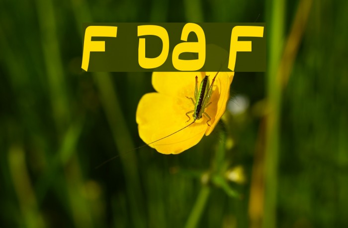 Field Day Filter Font examples