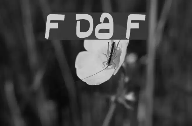 Field Day Filter フォント examples