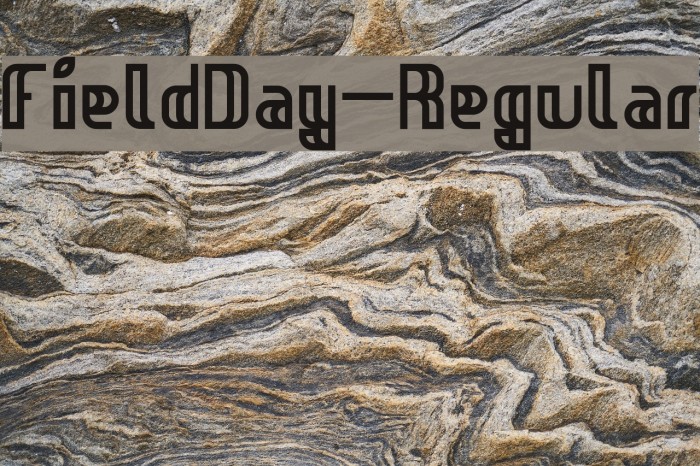 FieldDay-Regular Font examples