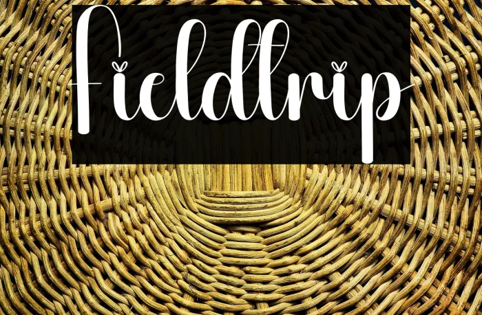 Fieldtrip Example 2