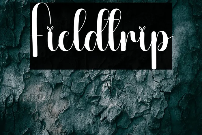 Fieldtrip Example 3