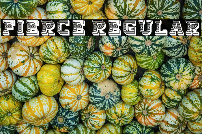 Fierce Regular Example 2