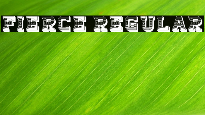 Fierce Regular Example 3