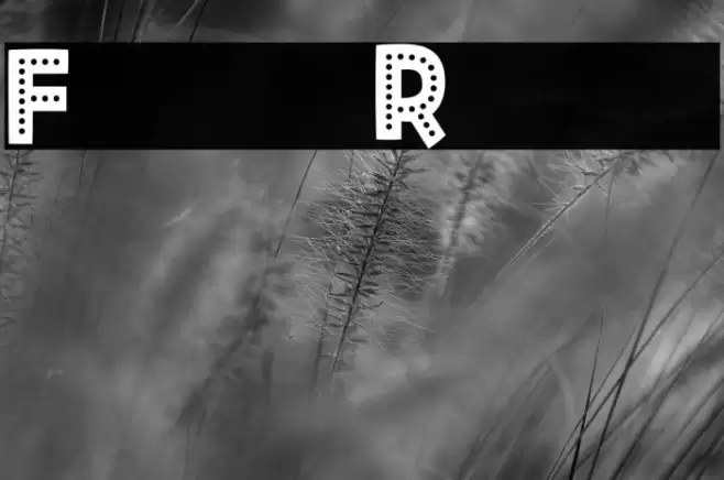 Fiesta Rumba Fuentes examples