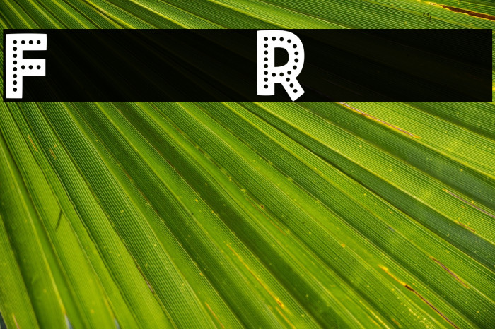 Fiesta Rumba Example 2