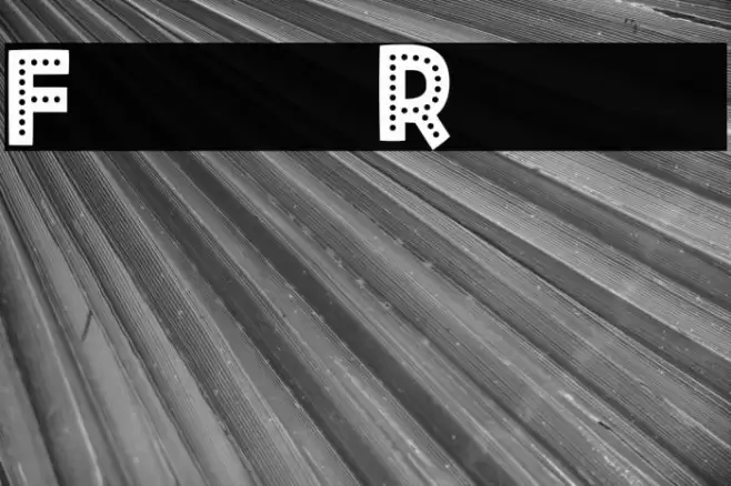 Fiesta Rumba Fuentes examples