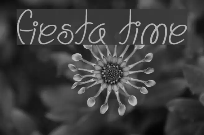 Fiesta Time Font examples