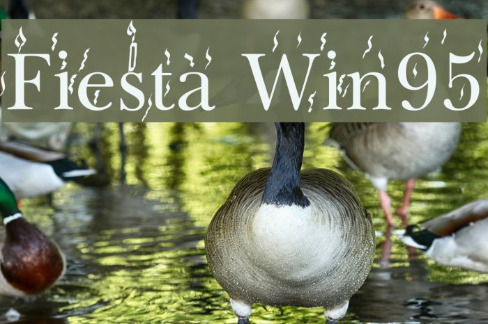 Fiesta Win95 Font examples