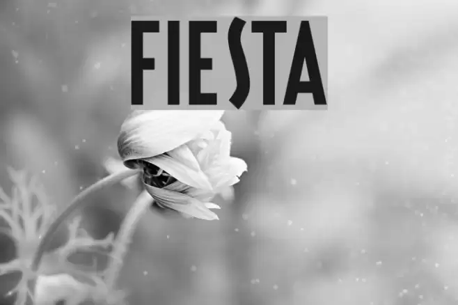 Fiesta Font examples