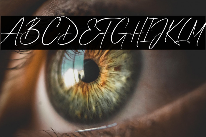 Fife Gallery Example 1