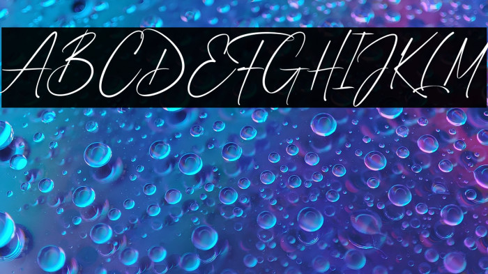 Fife Gallery Example 3