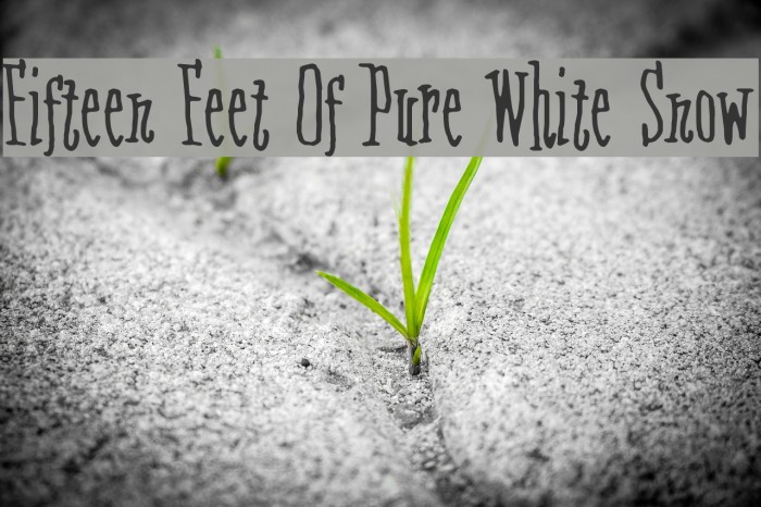 Fifteen Feet Of Pure White Snow Font examples