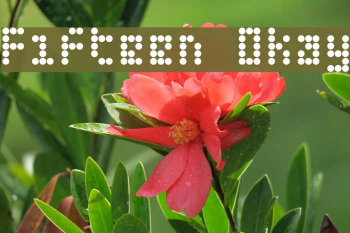 Fifteen Okay Font examples