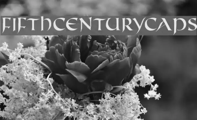 FifthCenturyCaps Font examples