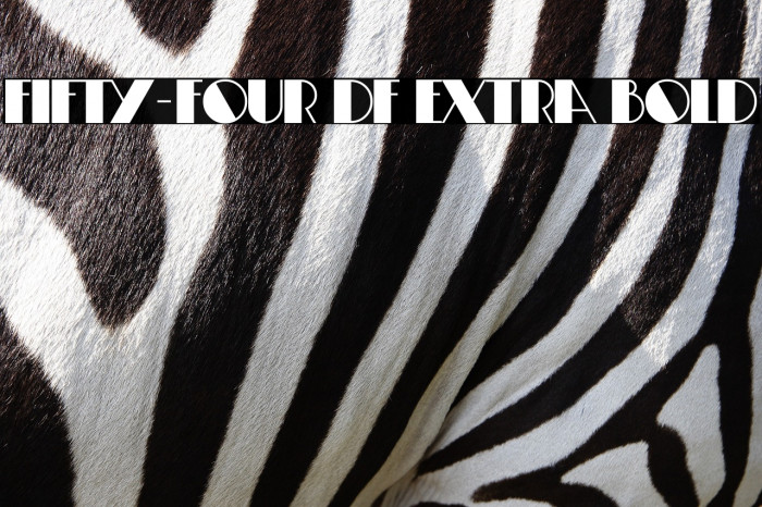 Fifty-Four DF Extra Bold Example 2