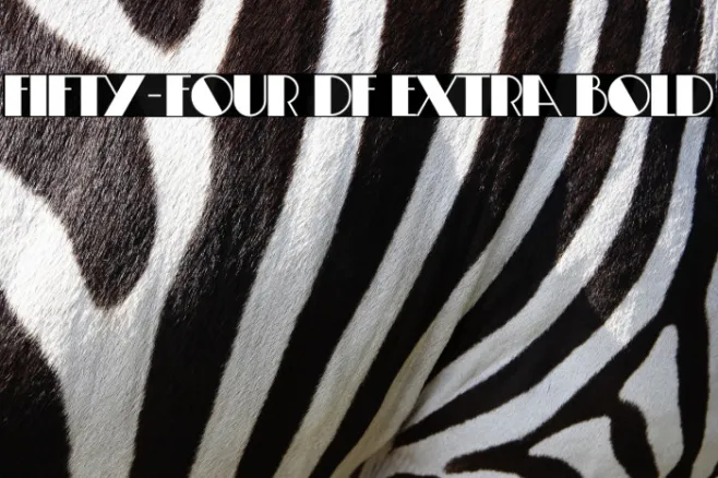 Fifty-Four DF Extra Bold Example 2