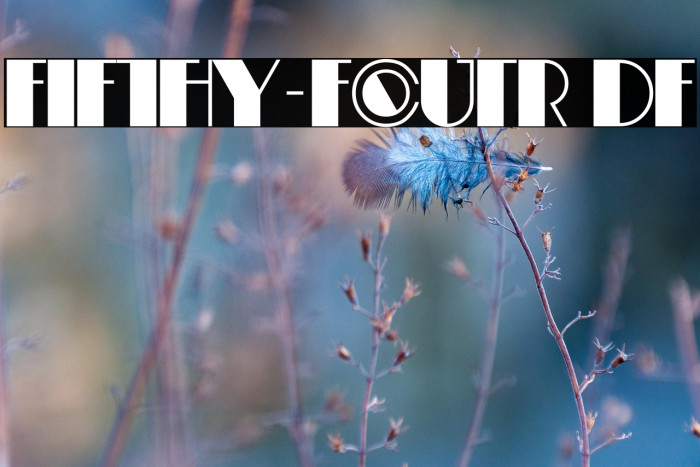 Fifty-Four DF Example 1