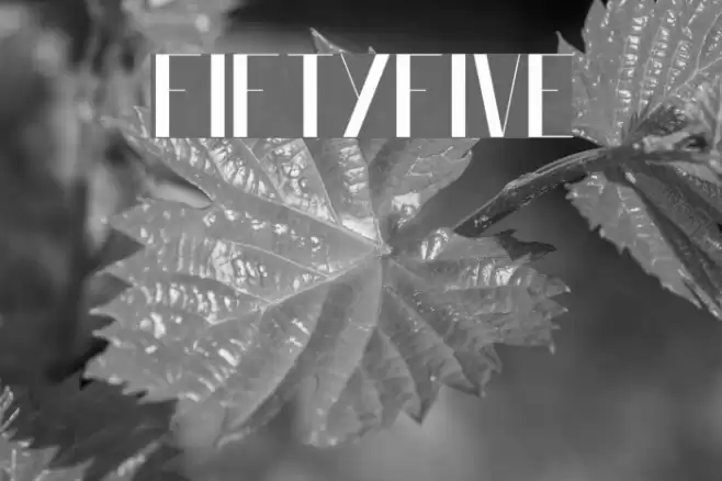 FiftyFive Font examples