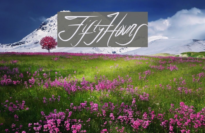 FiftyHours Font examples