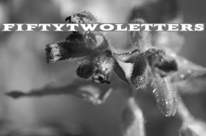 FiftyTwoLetters Font examples