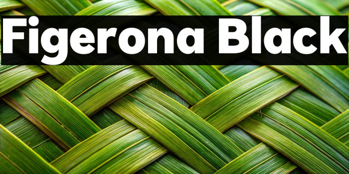 Figerona Black Example 2