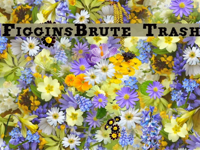 FigginsBrute Trash Font examples