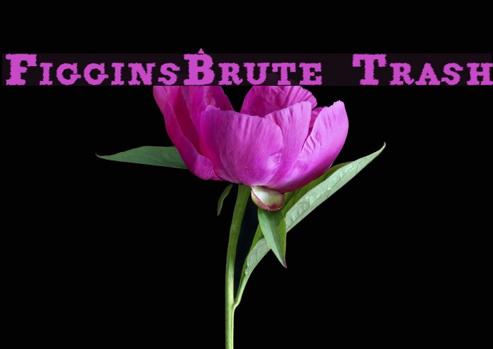 FigginsBrute Trash Font examples