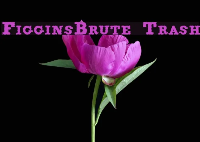 FigginsBrute Trash Example 3