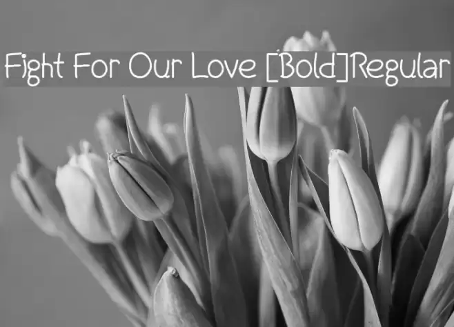 Fight For Our Love [Bold]Regular Font examples