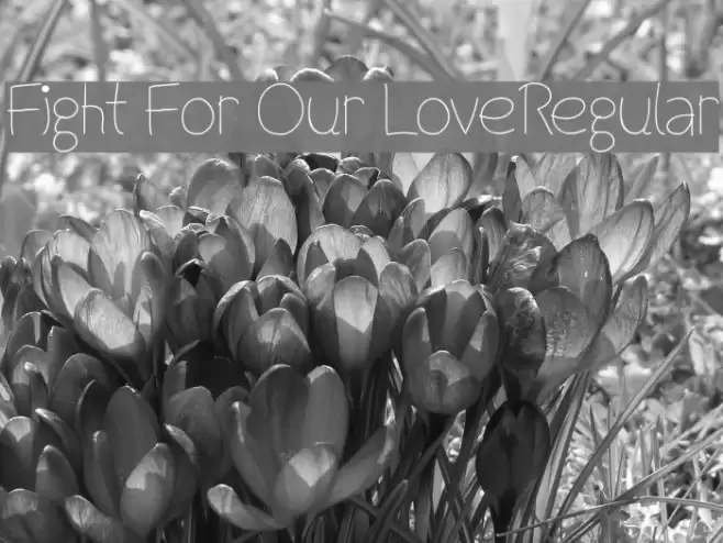 Fight For Our LoveRegular Font examples