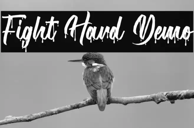 Fight Hard Demo Font examples