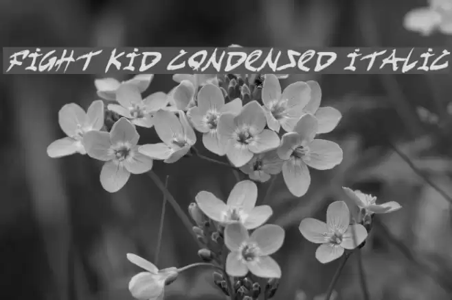 Fight Kid Condensed Italic Font examples