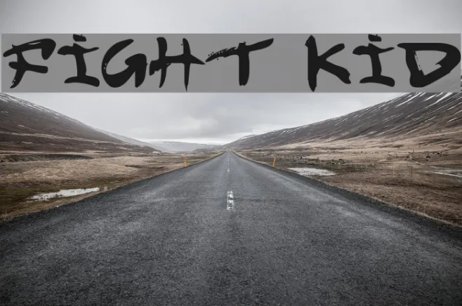 Fight Kid Example 1