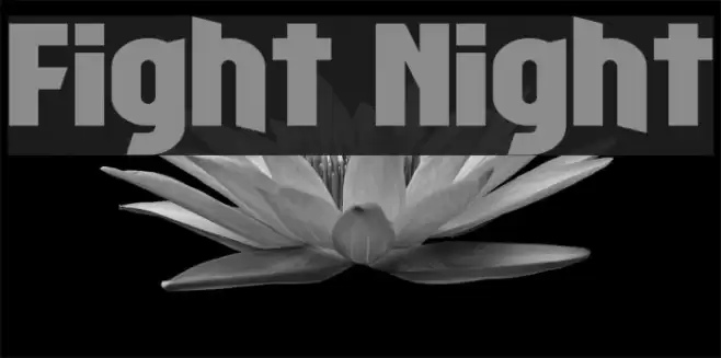 Fight Night Font examples