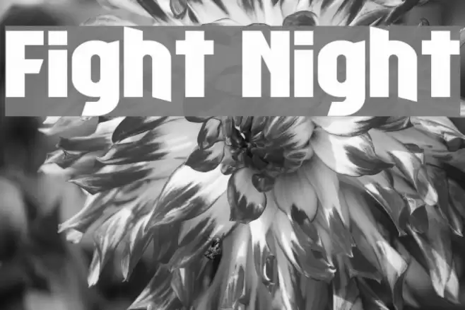 Fight Night Font examples