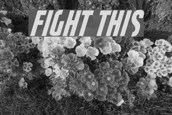 Fight This Font examples