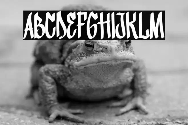 Fighter Bloom Font examples