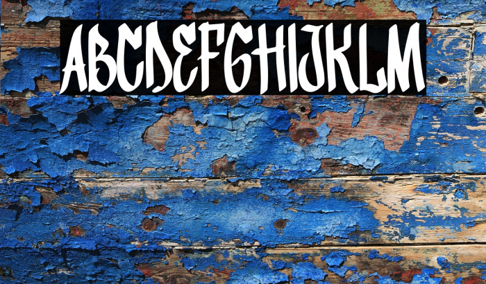 Fighter Bloom Example 2