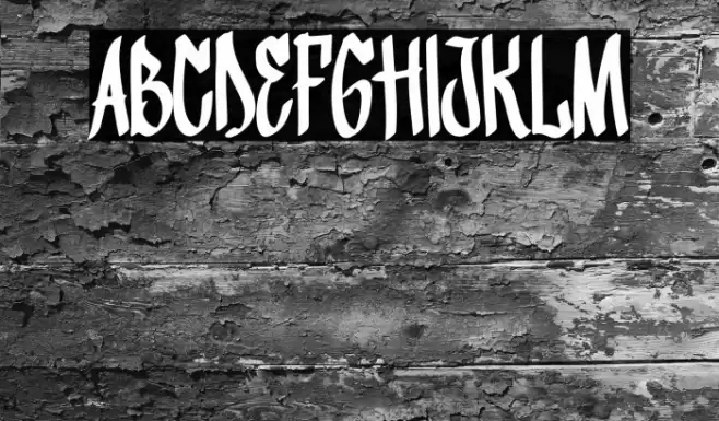 Fighter Bloom Font examples