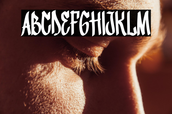 Fighter Bloom Example 3