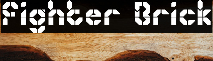 Fighter Brick Example 1