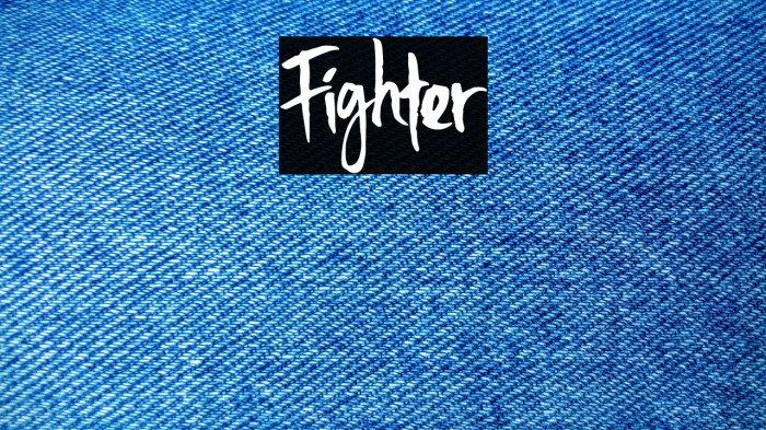 Fighter Example 2