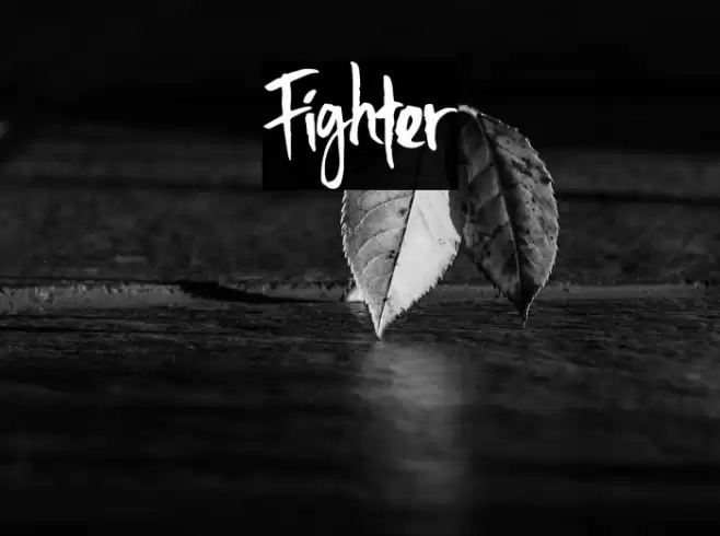 Fighter Font examples