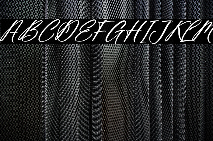 Fighterland Script Italic Example 1