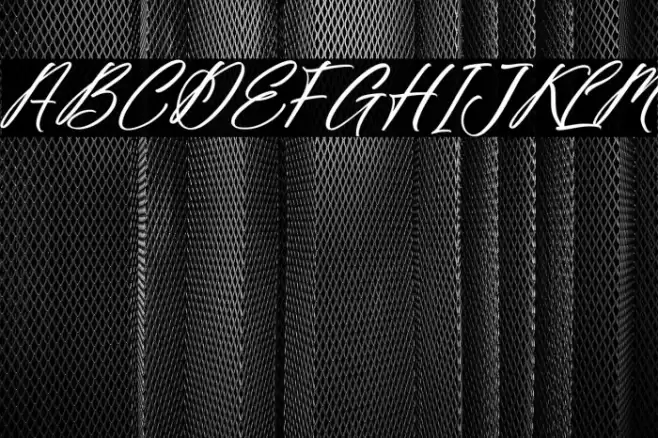 Fighterland Script Italic Font examples