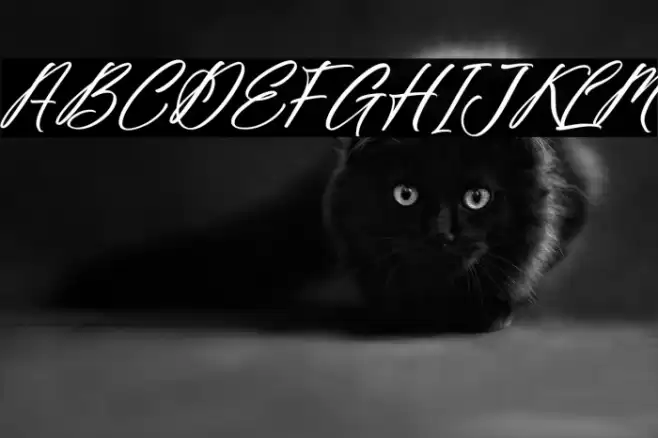 Fighterland Script Italic Font examples