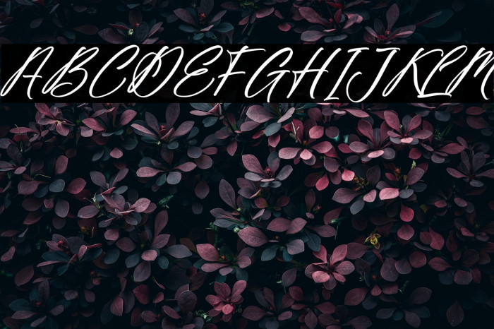 Fighterland Script Italic Example 3