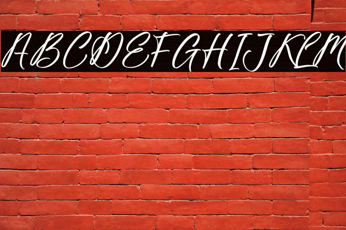 Fighterland Script Example 3